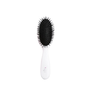 Mini On Set Pro Brush